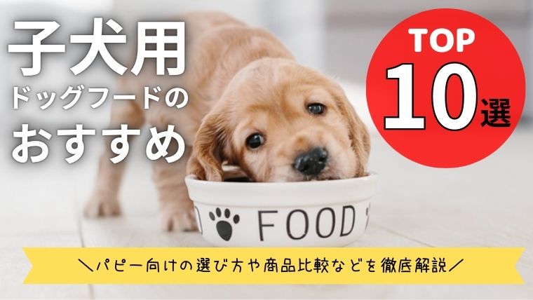 子犬用ドッグフードおすすめランキング選！餌の選び方と商品比較も解説