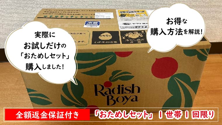 らでぃっしゅぼーや「おためしセット」を実際に試した私の口コミ